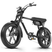 [EU Direct] CMACEWHEEL K20 Elektrische Fiets Voorvork met Olie Achterzetting 48V 18AH Batterij 1000W Piekvermogen Motor