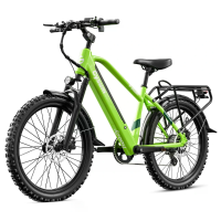 [EU DIRECT] CYSUM Hoody Elektrische Fiets 36V 10AH Batterij 250W Motor 24 inch Banden 45 55KM Maximale Kilometerstand 15