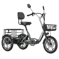 [EU DIRECT] CYSUM T1 Pro Elektrische Trike 48V 22Ah Batterij 250W Motor 16inch Banden 120 150KM Actieradius 150KG Maxima