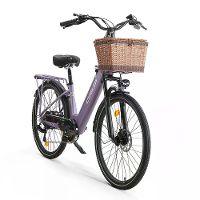 [EU Direct] CYSUM X stads Elektrische Fiets 48V 10.4Ah Accu 250W Motor Topsnelheid 25KM/U 26inch Banden 80KM Max Bereik