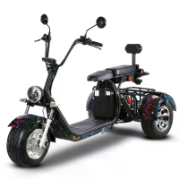 [EU DIRECT] Dogebos SC09 Elektrische Driewieler Bolderwagen met EEC/COC Certificaat 2000W Motor 60V 20Ah*2 Dubbele Batte