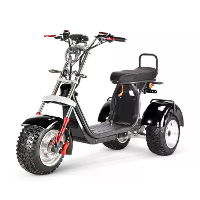 [EU DIRECT] Dogebos SC09 Swing Style Electric Tricycle Cargo with EEC/COC Certification 1500W Motor 60V 20Ah*2 Dual Batt