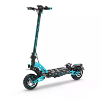 [EU DIRECT] Drivetron DT10 Elektrische Scooter 48V 15.6Ah Batterij 1000W Motoren Aanbevolen Topsnelheid 25KM/H 10inch Ba