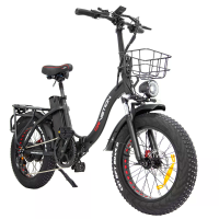 [EU DIRECT] DRVETION CT20 PRO Elektrische Fiets Olie Rem 48V 20Ah Samsung Batterij 750W Motor 20*4.0 Inch Wielen 80 120K