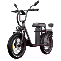 [EU Direct] DRVETION ET20 Elektrische Fiets Hydraulische Schijfrem 48V 15Ah Samsung Accu 750W Motor Aanbevolen Topsnelhe