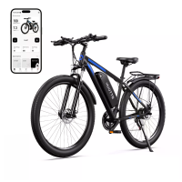 [EU DIRECT] DUOTTS C29 Elektrische Fiets met Achterdrager 48V 15Ah Batterij 750W Motor Aanbevolen Topsnelheid 25KM/H 29