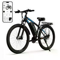 [EU DIRECT] DUOTTS C29 Elektrische fiets met bagagedrager 750W Motor 48V 15Ah Batterij 29inch Banden 50KM Bereik 150KG M