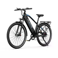 [EU Direct] DUOTTS C29 MAX Elektrische Fiets 48V 18Ah Batterij 250W Motor Aanbevolen Topsnelheid 25KM/H Koppel Sensor 29