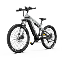 [EU DIRECT] DUOTTS E29 Elektrische Fiets 48V 13.5AH Batterij 250W BaFang Motor 27.5 Inch Banden 80 90KM Max Bereik 150KG