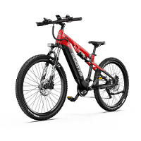 [EU DIRECT] DUOTTS E29 Elektrische Fiets 48V 13.5AH Batterij 250W BAFANG Motor Aanbevolen Topsnelheid 25KM/H 27.5Inch Ba
