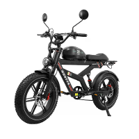 [EU Direct] DUOTTS F20 Elektrische Fiets 750W Motor Aanbevolen Topsnelheid 25KM/H 52V 27AH Batterij 20*4.0 Inches Banden