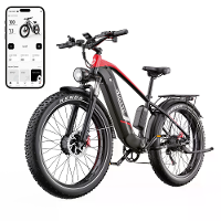 [EU DIRECT] DUOTTS F26 Elektrische Fiets 48V 20AH Samsung Batterij 750W*2 Dubbele Motoren Aanbevolen Topsnelheid 25KM/H