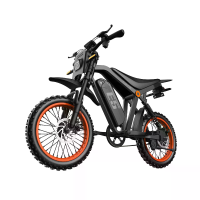 [EU Direct] E5 Elektrisch Offroad Fiets 48V 20Ah 250W (Piek 1500W) Motor Aanbevolen Topsnelheid 25KM/H 14 Inch Vetband 8