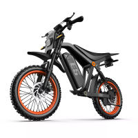 [EU Direct] E5 Elektrische Dirtbike Off road motorfiets 48V 20Ah 250W (piek 1500W) Aangeraden topsnelheid 25 KM/U 14 inc