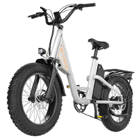 [EU Direct] EKXBIKE L1 Electric Bike 48V 15.6AH Battery 1000W Motor 20inches Tires 60 80KM Max Mileage 150KG Max Load El