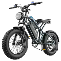 [EU Direct] EKXBIKE T1 Elektrische Fiets 1000W Motor 48V 20Ah Batterij 20*4.0Inch Banden 100KM Max Bereik 180KG Max Bela