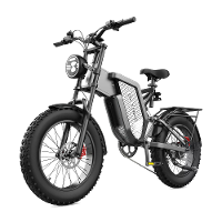 [EU DIRECT] EKXBIKE X20 Elektrische Fiets 48V 35AH Batterij 2000W Motor 20*4.0Inch Banden SpokeWiel 120KM Maximale Actie