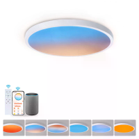 [EU Direct] Elfeland 50W Slim WiFi LED plafondlamp 1800K~16700K Kleurtint RA≥97 IP40 Werkt met Tuya Smart Google Assista