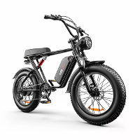 [EU DIRECT] Emoko C91 Elektrische fiets 48V 20Ah batterij 1000W motor 20*4.0Inch banden 60 80KM max. Bereik 150KG max. B