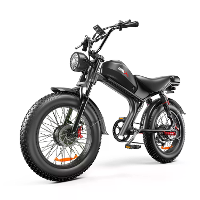 [EU Direct] EMOKO C93 Elektrische Fiets 48V 23AH Batterij 1000W*2 Dual Motors 20 inch Banden 55 75KM Max Bereik 120KG Ma