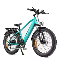 [EU DIRECT] ENGWE E26 Elektrische Fiets 16Ah 48V 250W Aanbevolen Topsnelheid 25KM/H Elektrische Fiets 26*4.0 Inch Dikke