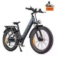 [EU DIRECT] ENGWE E26 ST Elektrische Fiets 16Ah 48V 250W Elektrische Fiets 26*4.0 Inch Vet Band 120 140 km Kilometerstan