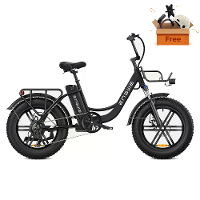 [EU DIRECT] ENGWE L20 Elektrische fiets 13Ah 250W 20*4.0 Vette Band Elektrische fiets 66 140km Bereik E Bike voor Bergen