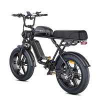 [EU DIRECT] ENGWE M1 Elektrische Fiets 48V 15.6AH+13AH Dubbele Accu 250W Motor 20inch 170KM Max Bereik 150KG Max Last El