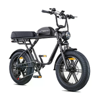 [EU DIRECT] ENGWE M1 Elektrische Fiets 48V 15.6AH 250W Motor 20 inch Band 90KM Maximale Actieradius 150KG Maximale Belas