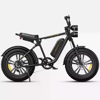 [EU DIRECT] ENGWE M20 Elektrische Fiets 13Ah 750W 20*4.0 Vetband Elektrische Fiets 60 75km Actieradius E Bike voor Berg
