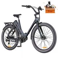 [EU DIRECT] ENGWE P275 ST Elektrische fiets 19.2Ah 36V 250W Elektrische fiets 27.5 Inch band 260km Kilometerbereik E bik