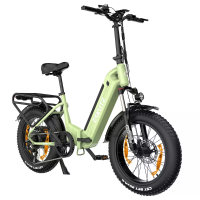[EU DIRECT] ESKUTE ES 20 LJXD Koppel Sensor Elektrische Fiets 36V 25AH 250W(MAX 350W) Motor 20inch 100 120KM Max Bereik