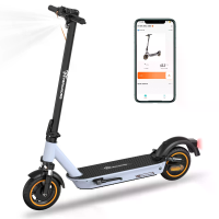 [EU DIRECT] EVERCROSS EV10K MAX Elektrische Scooter met ABE Weggoedkeuring 36V 18.2AH Accu 400W Motor 10 inch Banden 55 