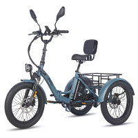 [EU DIRECT] FAFREES F20 MATE Elektrische Driewieler 48V 23.45Ah Batterij 500W Motor 20*3.0Inch Vette Banden 95 120KM Act