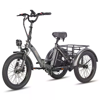 [EU Direct] FAFREES F20 MATE Elektrische Driewieler Cargo 48V 18,2AH Batterij 250W Motor Topsnelheid 25KM/U 20 inch band