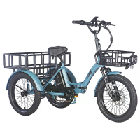 [EU Direct] FAFREES F20 MATE Elektrische Driewieler + Vergroot Achtermand + Voorkant Rek Mand 48V 18.2AH Accu 500W Motor