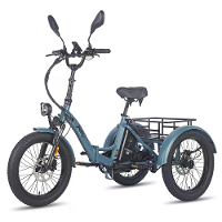[EU DIRECT] FAFREES F20 MATE Elektrische Driewieler 48V 21Ah Accu 500W Motor 20*3.0Inch Dikke Banden 90 115KM Actieradiu