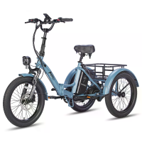 [EU Direct] FAFREES F20 MATE Elektrische Tricycle Met Cargo 48V 20Ah Batterij 250W Motor Topsnelheid 25KM/U hydraulische
