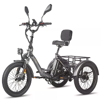 [EU DIRECT] FAFREES F20 MATE Elektrische Trike met EU L2e P Certificering 48V 23.45Ah Accu 500W Motor Aanbevolen Topsnel