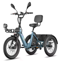 [EU Direct] FAFREES F20 Mate II Elektrische Drie wiel Cargo, 48V 25AH Batterij, 250W Motor, 750W Peak power, Topsnelheid