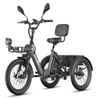 [EU Direct] FAFREES F20 Mate II Elektrische Driewieler Vracht, 48V 21AH Batterij, 250W Motor, 750W Piekvermogen, Topsnel