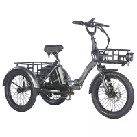 [EU Direct] FAFREES F20 MATE + Voorrek Mand Elektrische Driewieler Cargo 48V 18.2AH Batterij 500W Motor 20 inch Banden 8