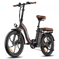 [EU Direct] FAFREES F20 Pro Elektrische Fiets 36V 20Ah Accu 250W Motor Topsnelheid 25KM/U 20*3.0Inch Banden 75 100KM Max