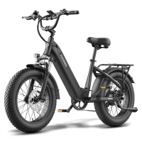[EU DIRECT] FAFREES F20 Rovers elektrische fiets Cadanssensor 48V 15AH accu 250W motor Aangeraden topsnelheid 25KM/U 20