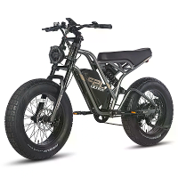 [EU Direct] FAFREES F20 ULTRA Elektrische Fiets 48V 25AH Batterij 750W Motor 20*5.0Inch Banden 120 140KM Maximale Actier
