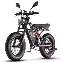 [EU Direct] FAFREES F20 ULTRA Elektrische Fiets met EU L1e B Certificatie 48V 25Ah Batterij 750W Motor Aanbevolen Topsne