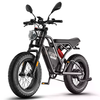 [EU Direct] FAFREES F20 ULTRA Elektrische Fiets met EU L1e B Certificering 48V 25AH Accu 750W Motor Aanbevolen Topsnelhe