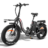 [EU DIRECT] FAFREES F20 X MAX Elektrische Fiets 750W Motor 48V 30AH Batterij 20*4.0Inch Dikke Banden 180 220KM Max. Kilo