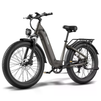 [EU Direct] FAFREES F26 ROVER Elektrische Fiets 48V 20Ah Batterij 250W motor Top snelheid 25KM/U 26×4.0 Inch banden 70 9