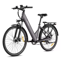 [EU DIRECT] FAFREES F28 PRO Elektrische fiets 36V 15Ah batterij 250W motor Aanbevolen topsnelheid 25KM/U 27.5*1.75Inch 5